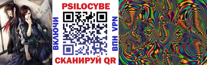 Псилоцибиновые грибы Cubensis  купить наркотики цена  Трёхгорный 